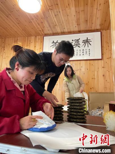資料圖：杜贏(左二)在整理白茶餅?！×执阂?攝